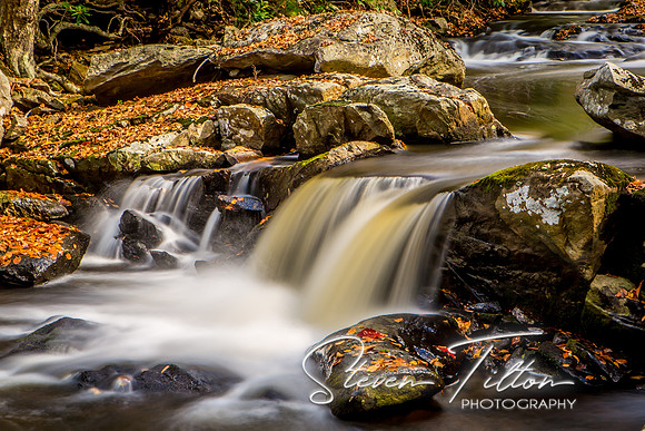 Autumn Mountain Stream