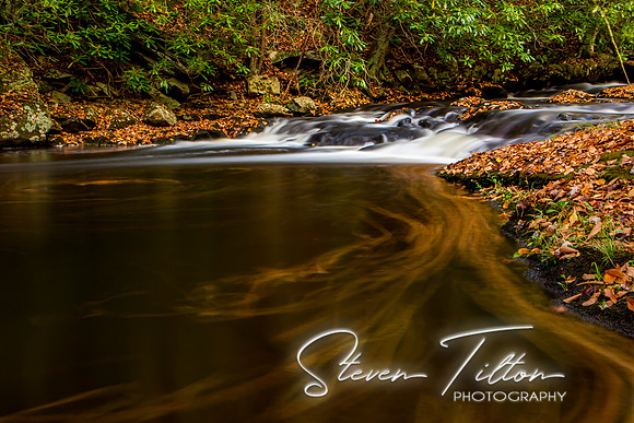 Autumn Mountain Stream