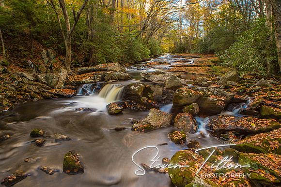 Autumn Mountain Stream