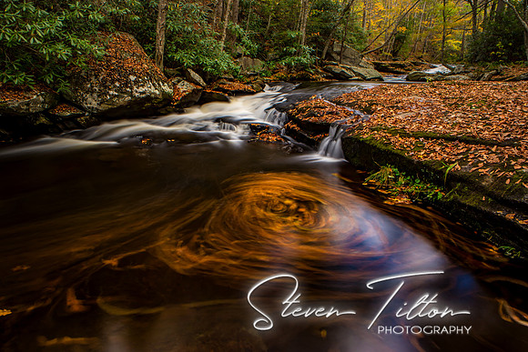 Autumn Mountain Stream