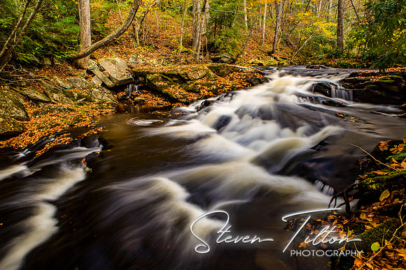 Autumn Mountain Stream