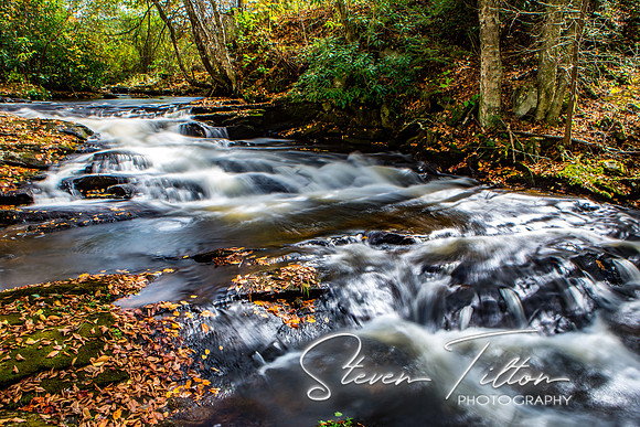 Autumn Mountain Stream
