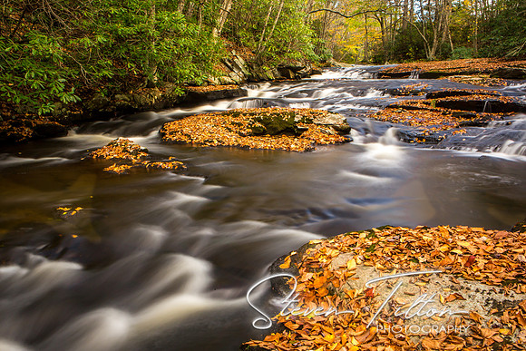 Autumn Mountain Stream