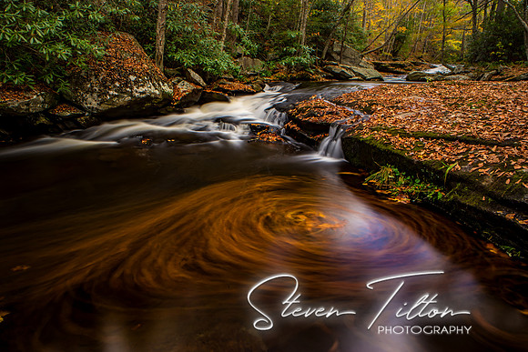 Autumn Mountain Stream