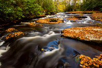 Autumn Mountain Stream