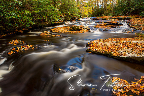 Autumn Mountain Stream