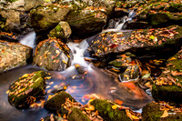 Autumn Mountain Stream