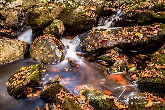 Autumn Mountain Stream