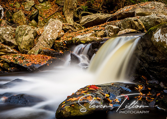 Autumn Mountain Stream