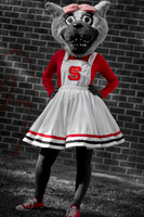 NCSU Wolfpack