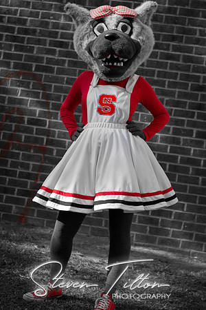 NCSU Wolfpack
