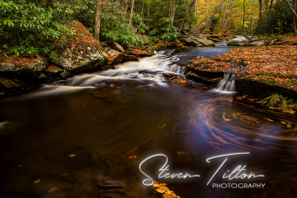 Autumn Mountain Stream