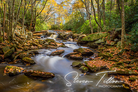 Autumn Mountain Stream