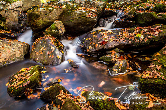 Autumn Mountain Stream