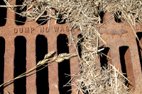 Storm Drain