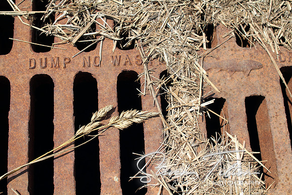 Storm Drain
