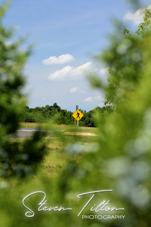 Pedestrian Crossing