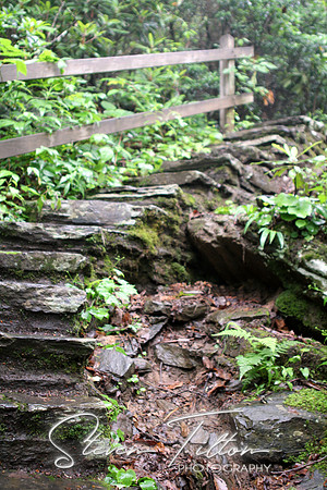 Natural staircase
