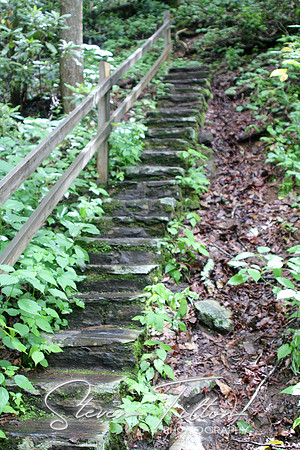 Outdoor Stairwell