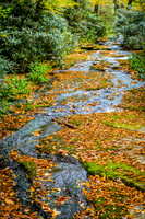 Blue Ridge Parkway