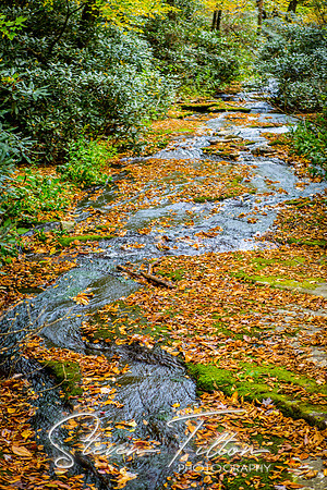 Blue Ridge Parkway