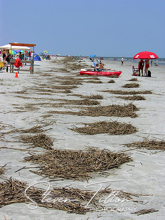 Sea Straws at Hilton Head Island