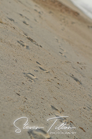 Outer Banks