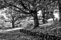 Blue Ridge Parkway