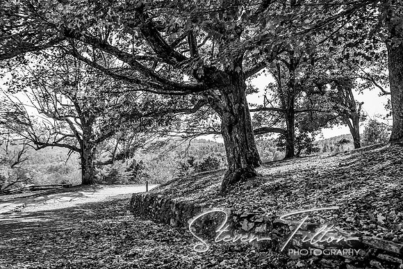 Blue Ridge Parkway