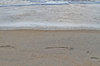 Outer Banks