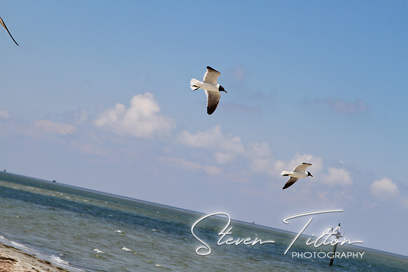 Ocracoke Island
