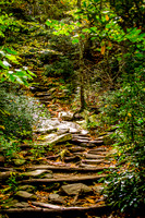 Blue Ridge Parkway