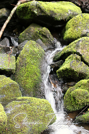 Mossy Falls