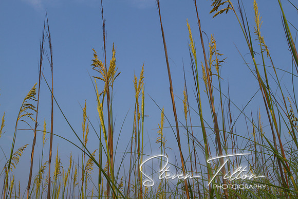 Outer Banks