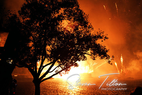 Glowing Tree Silhouette