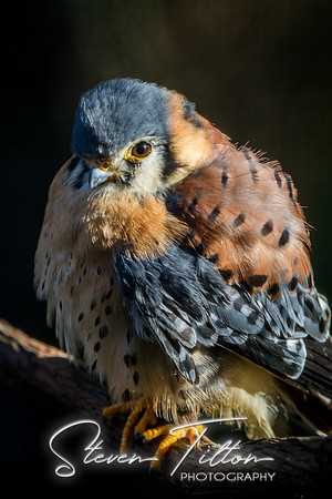 Homosassa Springs Wildlife State Park