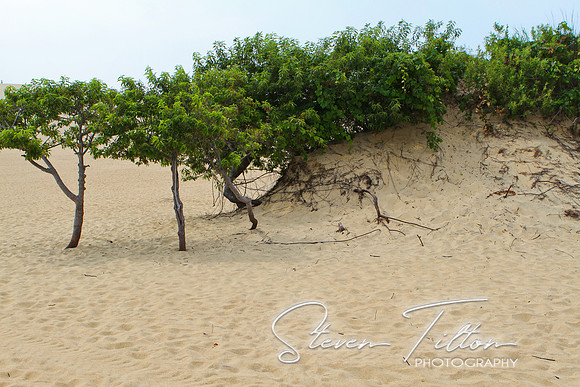 Outer Banks