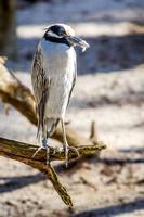 Homosassa Springs Wildlife State Park