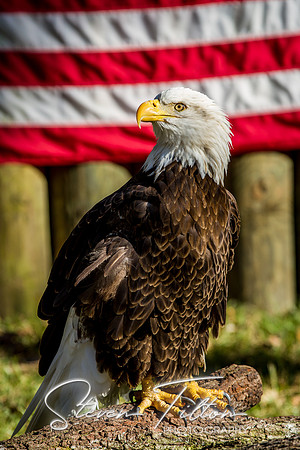 Homosassa Springs Wildlife State Park