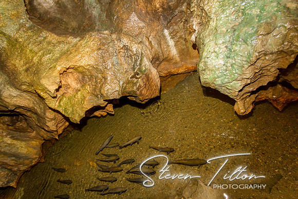 Linville Caverns