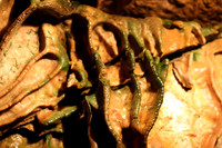 Creepy Cavern Formations