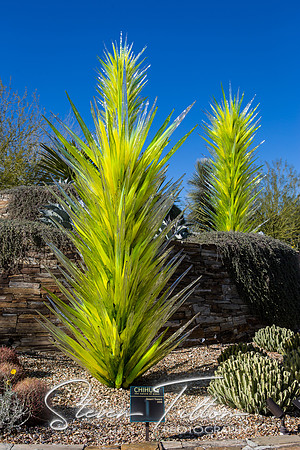 Botanical Garden