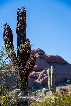Botanical Garden