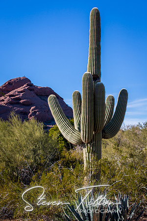 Botanical Garden