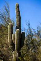 Botanical Garden