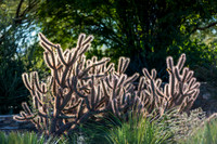 Botanical Garden