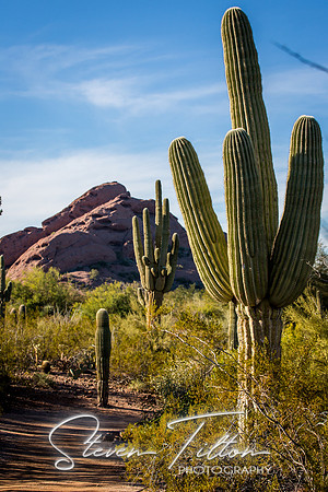 Botanical Garden