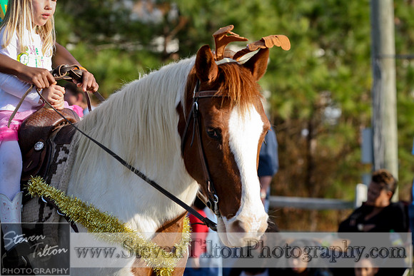 Rolesville Christmas Parade