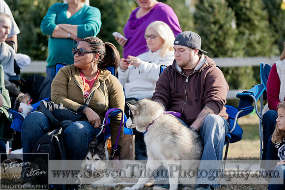 Rolesville Christmas Parade