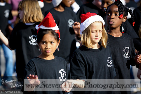 Rolesville Christmas Parade